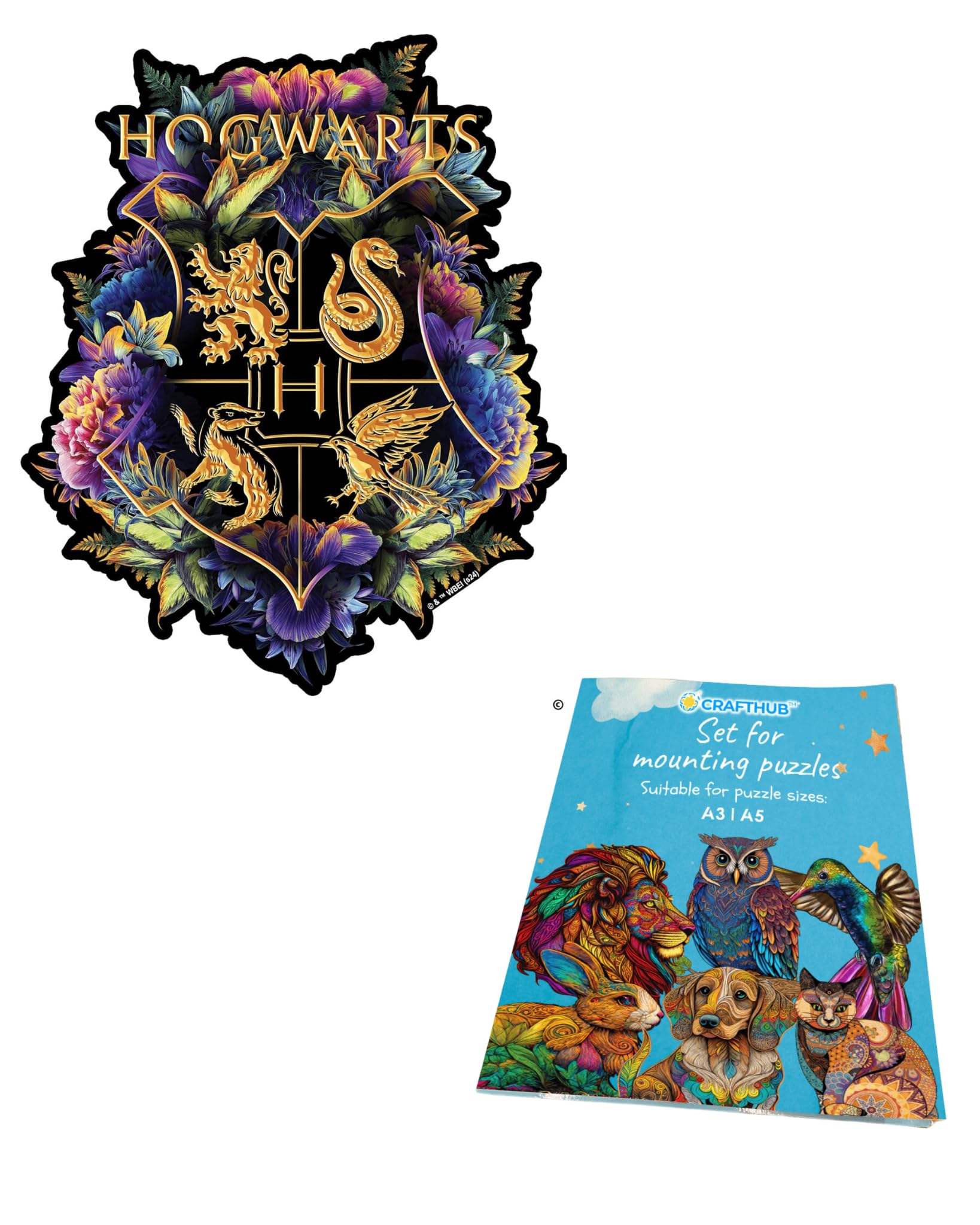 Amazon.com: Harry Potter Puzzle - Fine Oddities Wooden Jigsaw